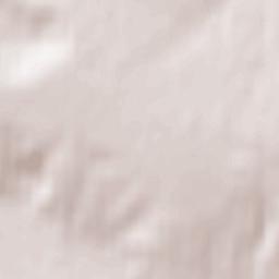 Ruzayevka Terrain Map