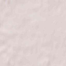 Dummerstorf Terrain Map