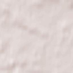 Zaslawye Terrain Map