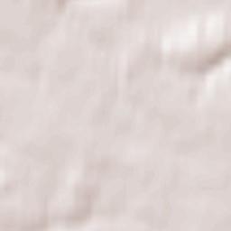 Mstsislaw Terrain Map