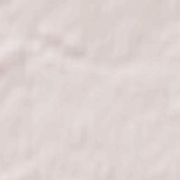 Betlitsa Terrain Map