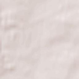 Buchholz Terrain Map