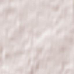 Dziemiany Terrain Map