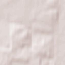 Palykavichy Pyershyya Terrain Map