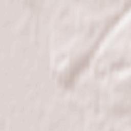 Kozel’skiy Rayon Terrain Map