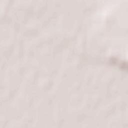 Al’sheyevskiy Rayon Terrain Map