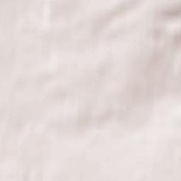 Zalesovo Terrain Map