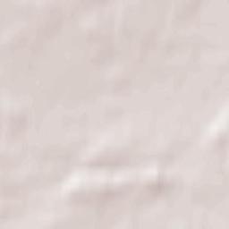 Jürgenshagen Terrain Map