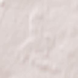 Podlesnyy Terrain Map