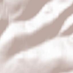 Mnogovershinnyy Terrain Map