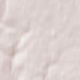 Mahilyow Terrain Map