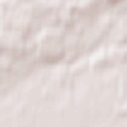 Selmsdorf Terrain Map