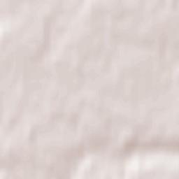 Kastrychnitski Rayon Terrain Map