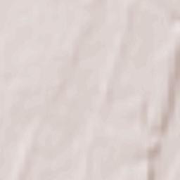 Buynichy Terrain Map