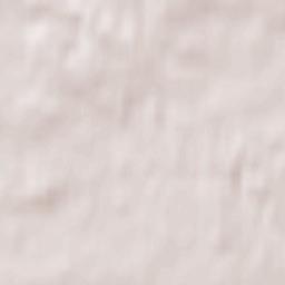 Czarna Woda Terrain Map