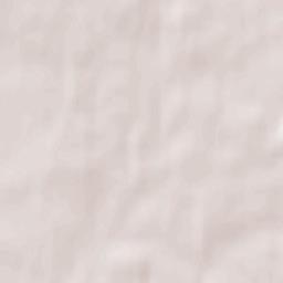 Vyaliki Trastsyanets Terrain Map