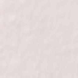 Kamen’-na-Obi Terrain Map