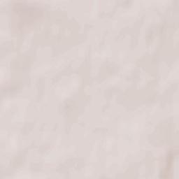 Freckleton Terrain Map