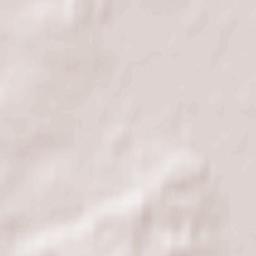 Cadenberge Terrain Map