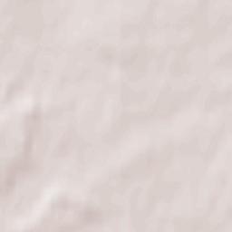 Elmenhorst Terrain Map