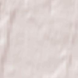 Chervyen’ski Rayon Terrain Map