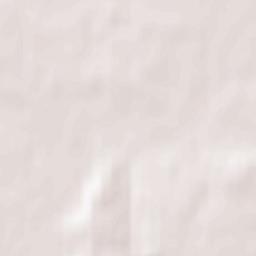 Pritomskiy Terrain Map