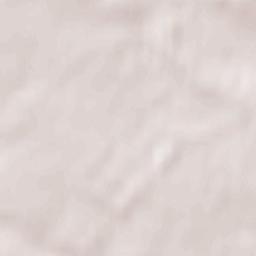 Samakhvalavichy Terrain Map