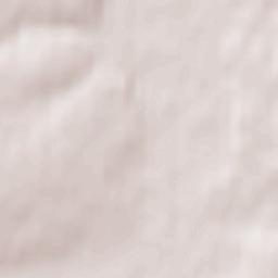 Zarech’ye Terrain Map