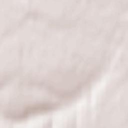 Zarechnyy Terrain Map