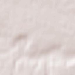 Dubrovka Terrain Map