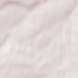 Bizhbulyak Terrain Map