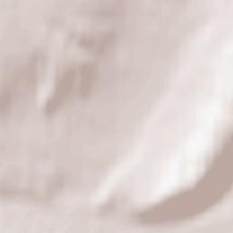 Buguruslan Terrain Map