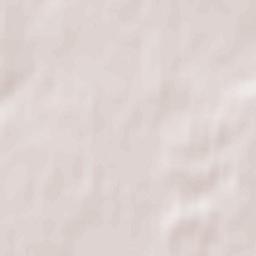 Shchuchyn Terrain Map