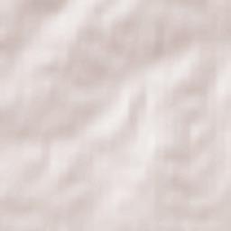 Novogrudok Terrain Map