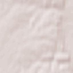 Warlubie Terrain Map