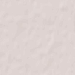 Skidel’ Terrain Map