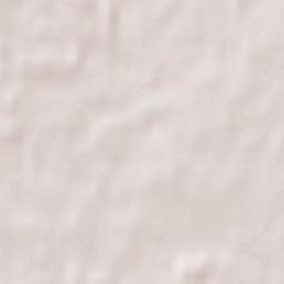 Stony Plain Terrain Map