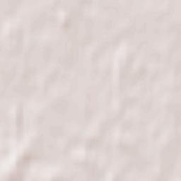 Spruce Grove Terrain Map