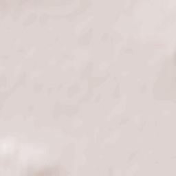 Karelitski Rayon Terrain Map