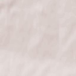 Khvastovichskiy Rayon Terrain Map