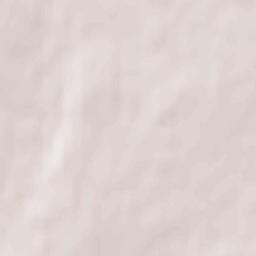 Zemetchino Terrain Map