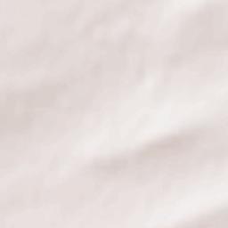 Altayskiy Rayon Terrain Map