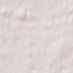 Rideau Park Terrain Map