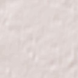 Wild Rose Terrain Map