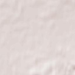 Neu Wulmstorf Terrain Map