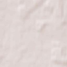 Dyatlovo Terrain Map