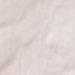 Verkhniy Lomov Terrain Map