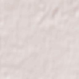 Mill Woods Town Centre Terrain Map