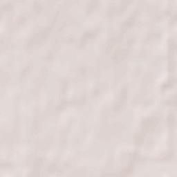 Silver Berry Terrain Map