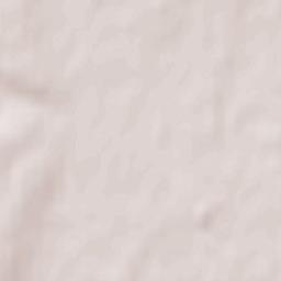 Morshansk Terrain Map